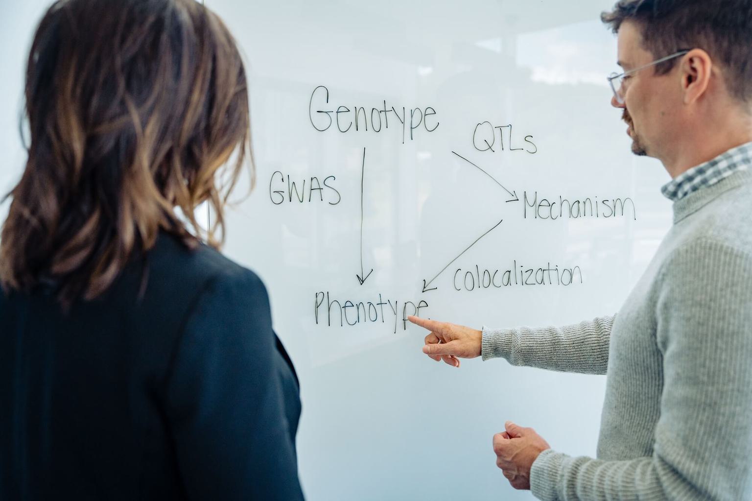 A man and a woman look at a white board flow chart