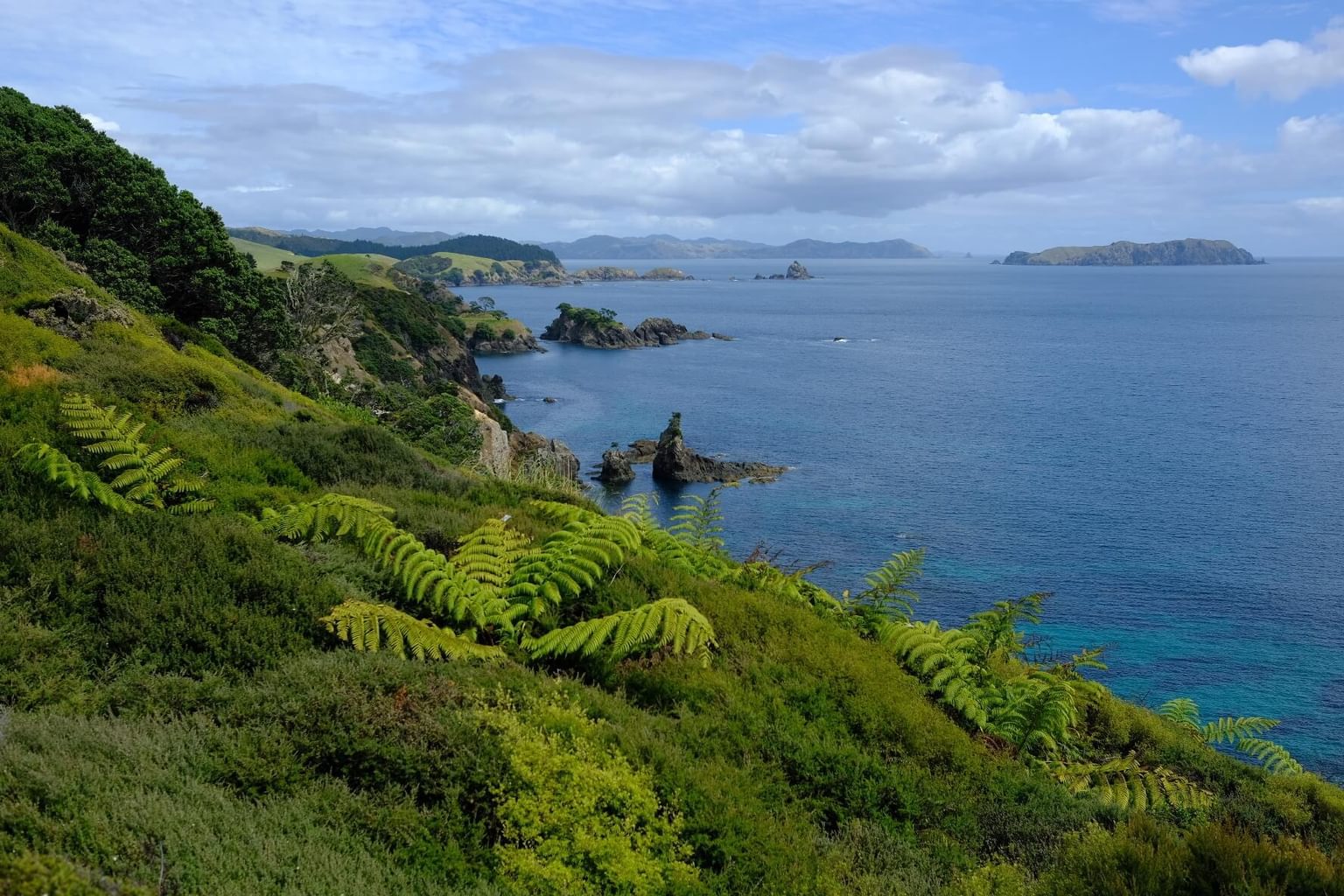 A lush mountainside falling into a deep blue ocean